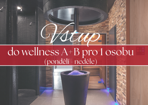 Vstup do wellness A+B pro 1 osobu na 120 min (po-ne)