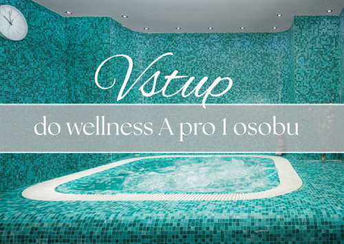 Vstup do wellness A pro 1 osobu na 120 min (dospělí a děti od 15let)