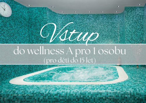 Vstup do wellness A pro 1 osobu na 120 min (děti do 15let)
